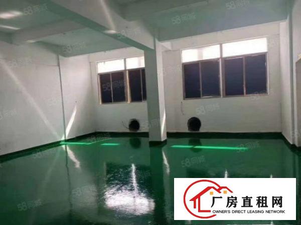  龙岗嶂背新出工业园1000平标准厂房出租国道边上带消防喷淋