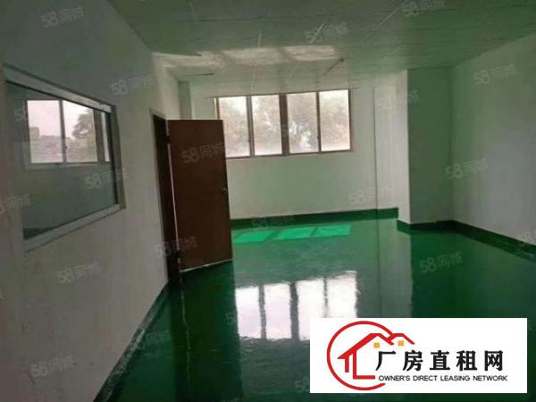  龙岗嶂背新出工业园1000平标准厂房出租国道边上带消防喷淋