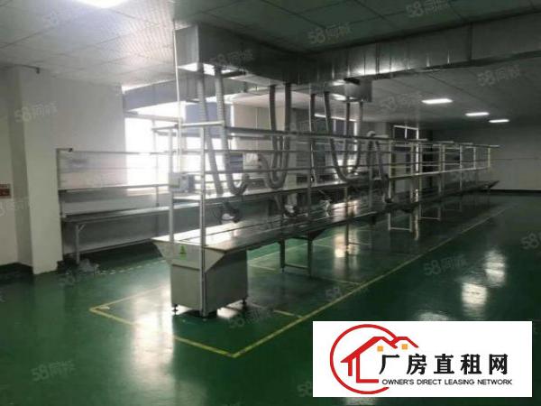  龙岗嶂背新出工业园1000平标准厂房出租国道边上带消防喷淋