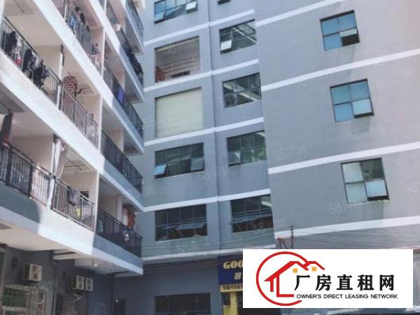  房东直租龙岗爱联厂房640平低价位面议出租有电梯