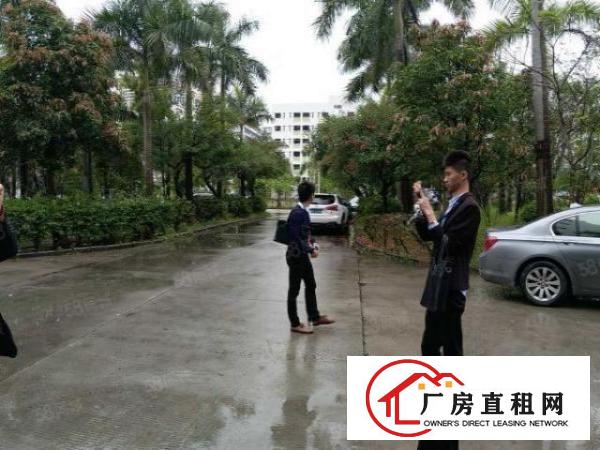  龙岗宝龙工业区高端园区带装修厂房可分租
