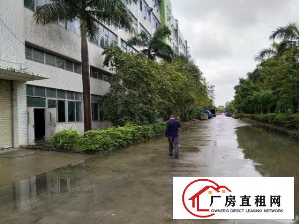  龙岗宝龙工业区高端园区带装修厂房可分租