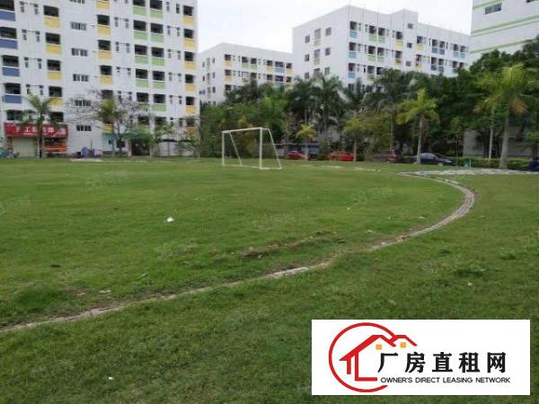  龙岗宝龙工业区高端园区带装修厂房可分租