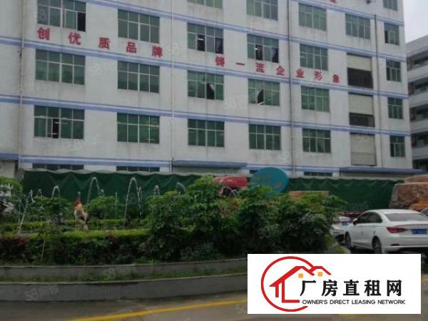  龙岗吉祥地铁附近一楼2300平方招租高度6米可大小分租