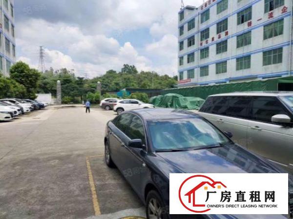  龙岗吉祥地铁附近一楼2300平方招租高度6米可大小分租
