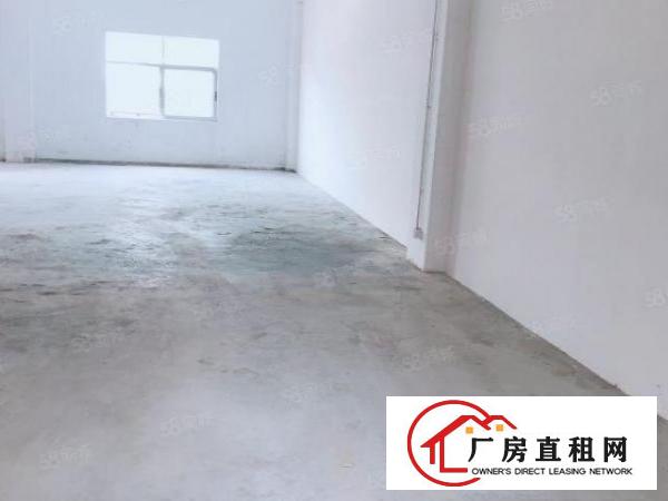  龙岗厂房爱联地铁口240平精装办公仓库出租面议有电梯