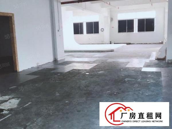  爱联太平村物业直租龙岗厂房300平办公仓库电商服装电子生产