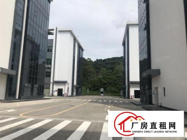  龙岗中心城，一楼1420平厂房出租，高6米，空地大