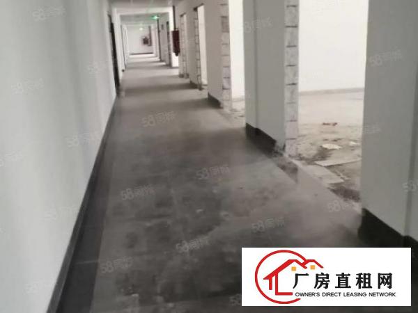  龙岗区爱联工业区独院5000平方厂房出租大小可分租