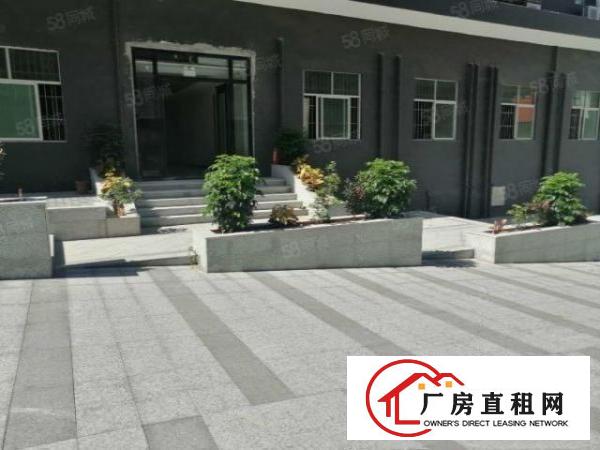  龙岗区爱联工业区独院5000平方厂房出租大小可分租