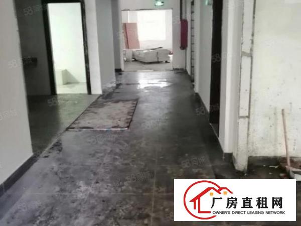  龙岗区爱联工业区独院5000平方厂房出租大小可分租