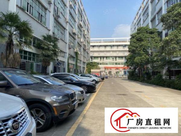  龙岗嶂背原房东一楼厂房500平出租，可分租小面积