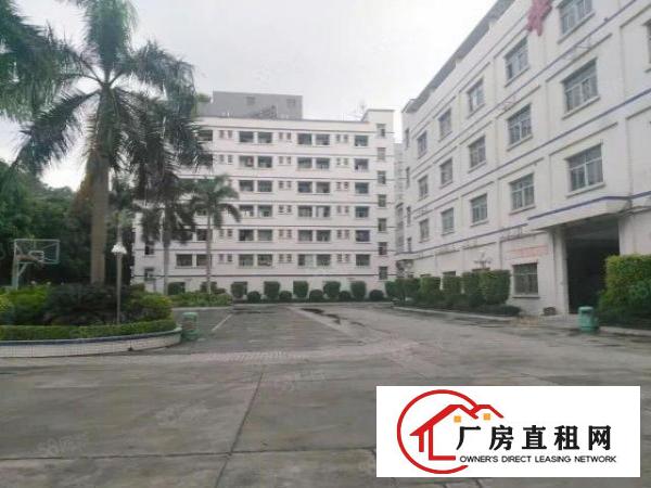  一楼500平800平1200平2500平厂房仓库出租南联龙岗
