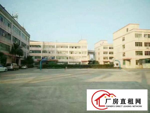  一楼500平800平1200平2500平厂房仓库出租南联龙岗