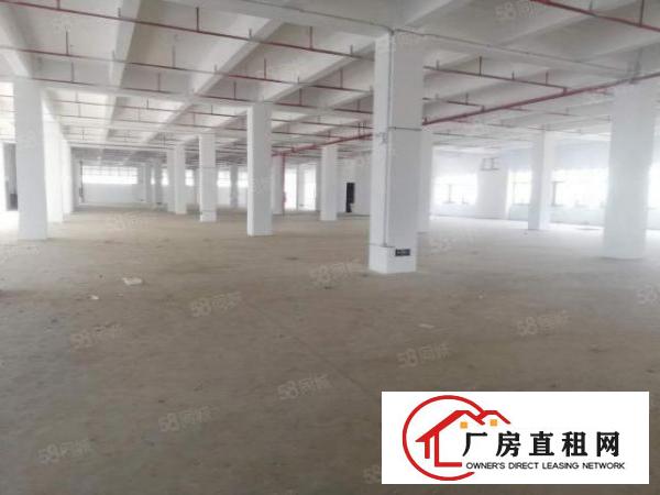  深圳坪山区96557平米全新工业厂房出租，可以分租