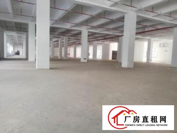  深圳坪山区96557平米全新工业厂房出租，可以分租