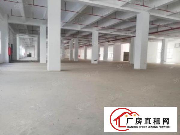  深圳坪山区96557平米全新工业厂房出租，可以分租