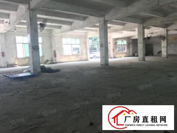  龙岗爱联原房东一楼实际面积出租整层700平方，可分租一半