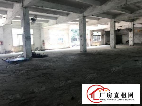  龙岗爱联原房东一楼实际面积出租整层700平方，可分租一半