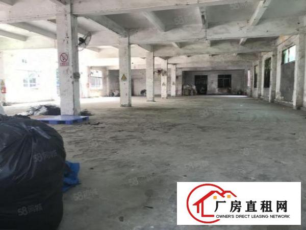  龙岗爱联原房东一楼实际面积出租整层700平方，可分租一半