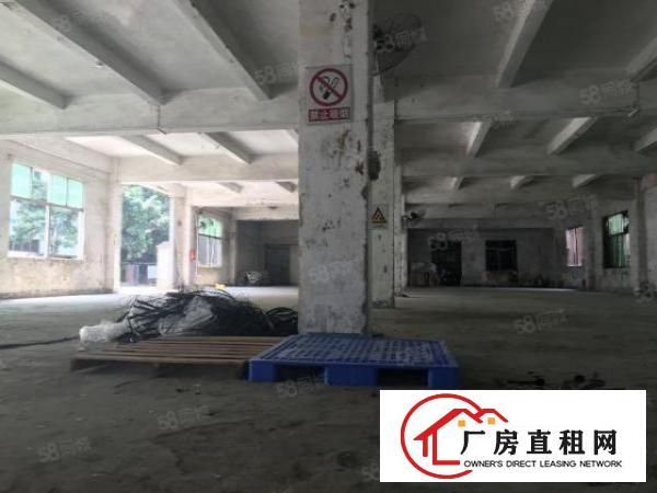  龙岗爱联原房东一楼实际面积出租整层700平方，可分租一半