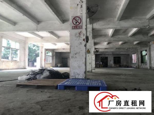 龙岗爱联原房东一楼实际面积出租整层700平方，可分租一半