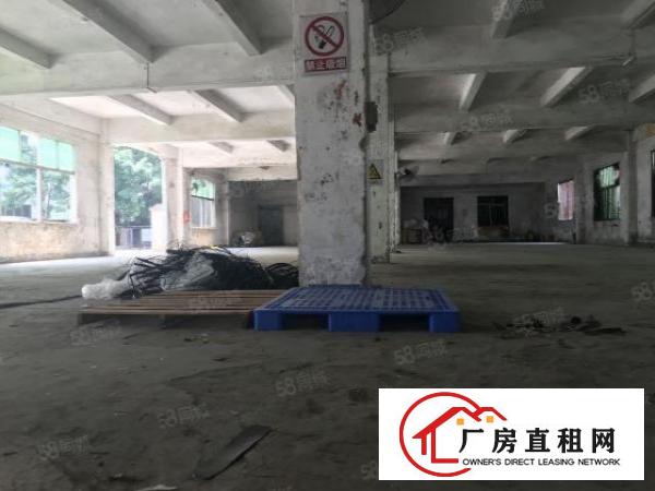  龙岗爱联原房东一楼实际面积出租整层700平方，可分租一半