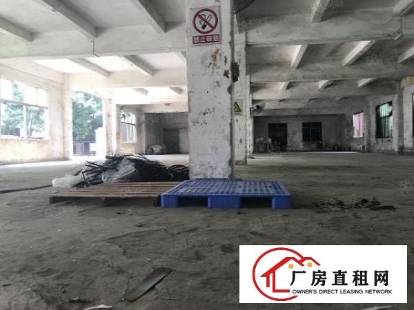  龙岗爱联原房东一楼实际面积出租整层700平方，可分租一半