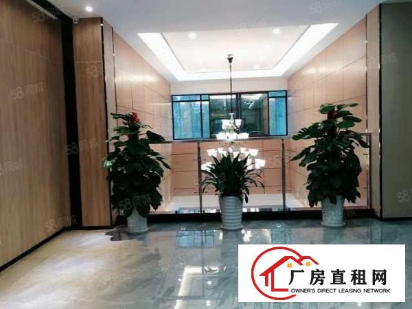  龙岗电商基地，产业基地，创业基地，带2吨货梯。