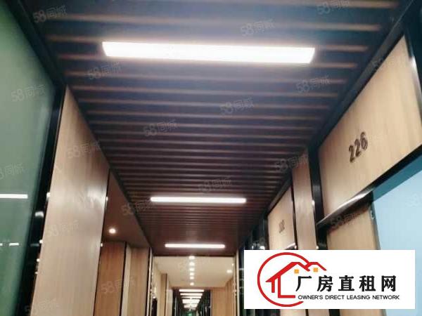  龙岗电商基地，产业基地，创业基地，带2吨货梯。