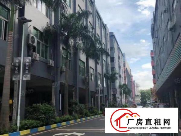  龙岗电商基地，产业基地，创业基地，带2吨货梯。