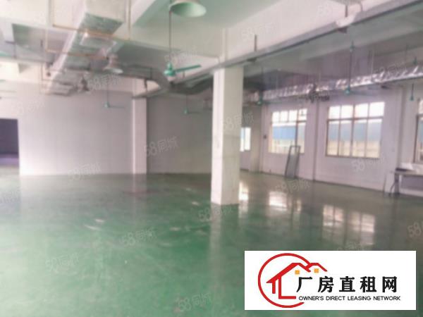  龙岗吉祥地铁站附近办公仓库300平出租精装修
