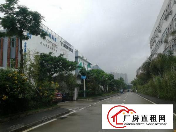  龙岗吉祥地铁站附近办公仓库300平出租精装修