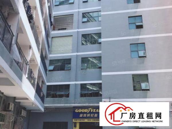  业主爱联地铁站640平厂房出租采光优户型方正价格面议有货梯