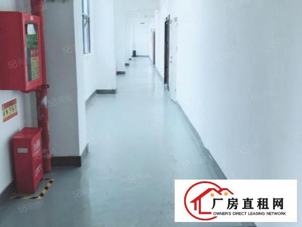  业主爱联地铁站640平厂房出租采光优户型方正价格面议有货梯