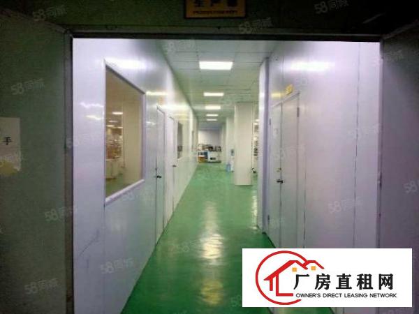  鹅公岭3楼1238平厂房分租有红本精装办公室