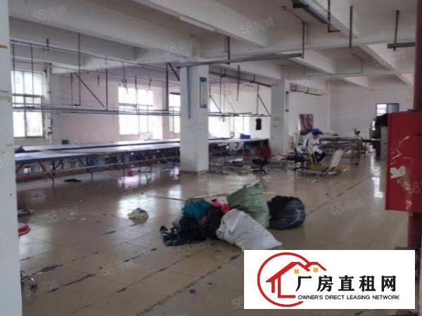  龙岗嶂背原房东独院5000平20元平（可分租）
