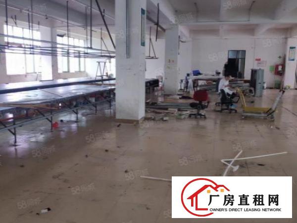  龙岗嶂背原房东独院5000平20元平（可分租）