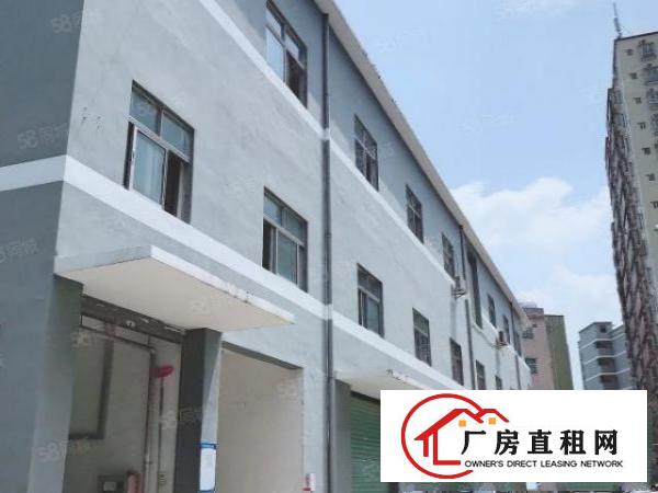  龙岗爱联地铁站530平厂房出租户型方正采光好价格面议