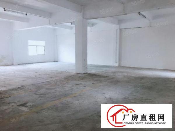  龙岗爱联地铁站530平厂房出租户型方正采光好价格面议
