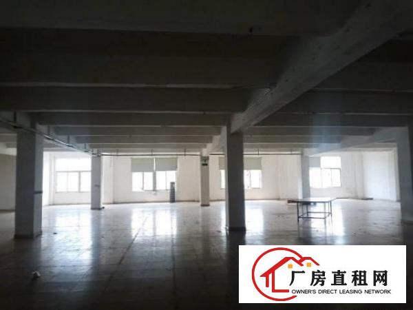  1200平方标准厂房停车方便。
