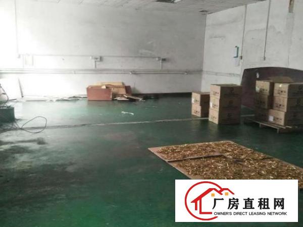  标准工业区厂房招租，价格美丽。