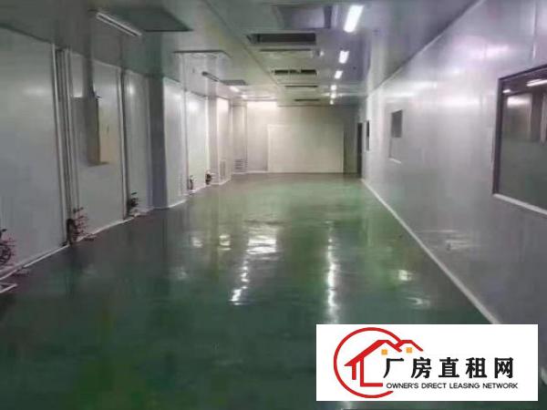  龙岗吉祥地铁口拎包入住