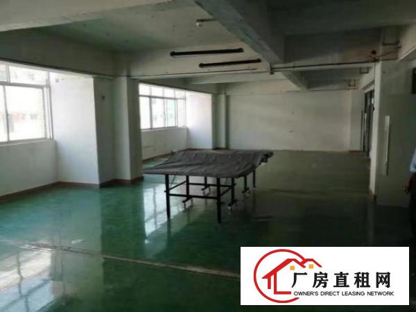 龙岗吉祥地铁口拎包入住