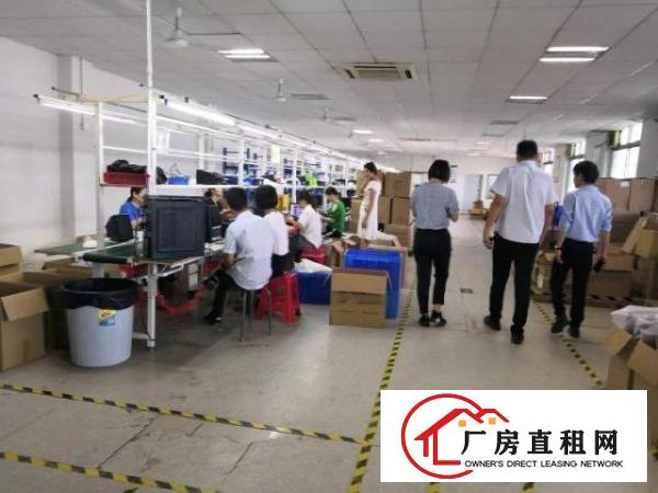  龙岗同乐高速出口原房东15元独院2000平厂房出租无公摊