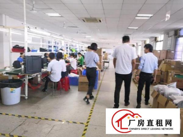  龙岗同乐高速出口原房东15元独院2000平厂房出租无公摊