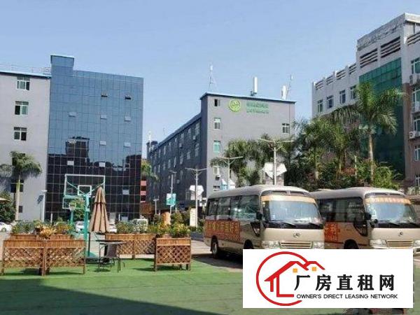  出租龙岗区龙岗中心城