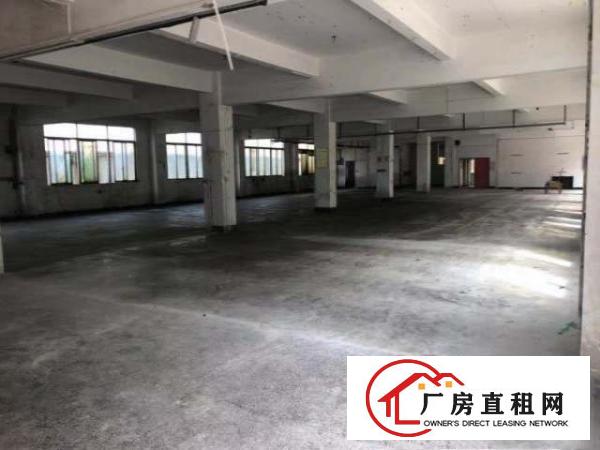  龙岗中心城龙岗区新空出一楼500平厂房565平米