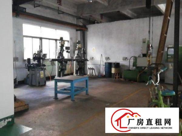  一楼标准厂房，可分租，自带停车场