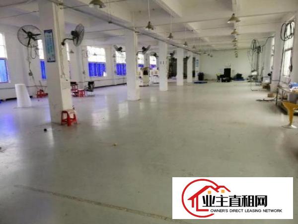  龙岗中心城龙岗区新生独门独院出租厂房1200平米